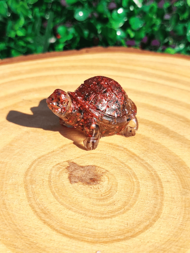 Tortue terrestre  