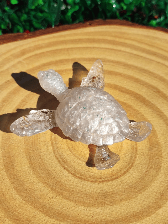 Tortue de mer