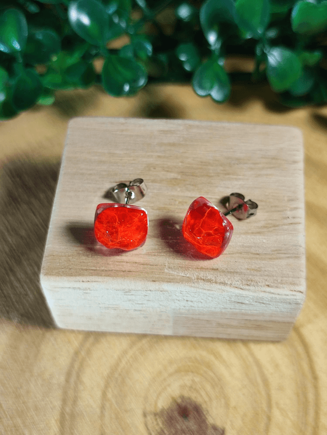 Clous d'oreilles - Cara