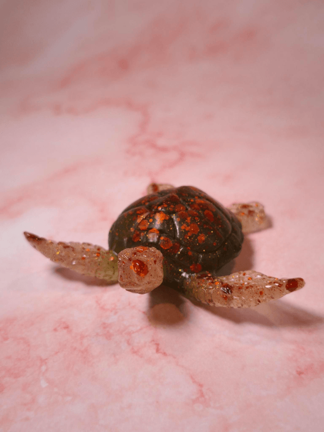 Tortue de mer 