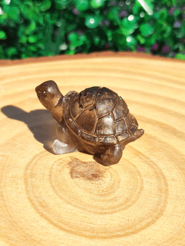 Tortue terrestre 