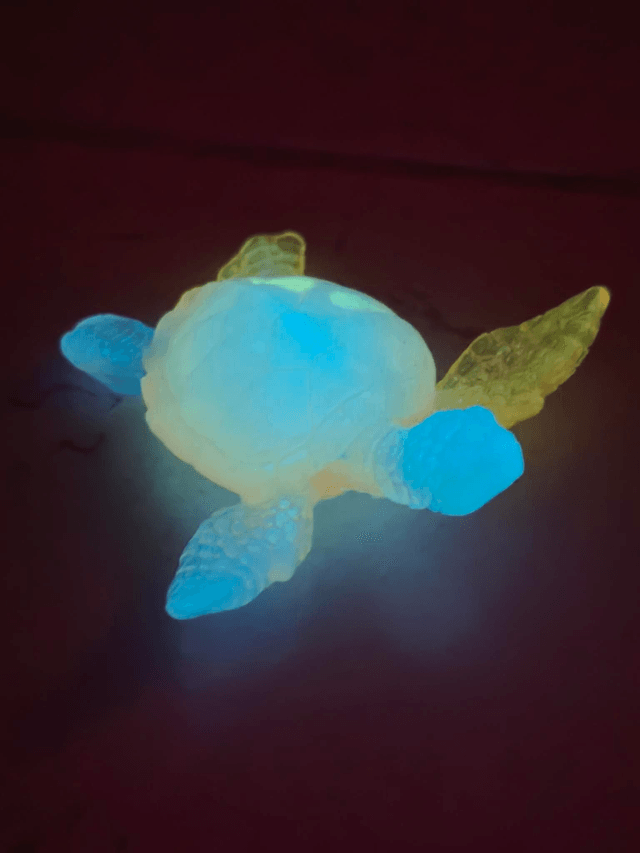 Tortue de mer