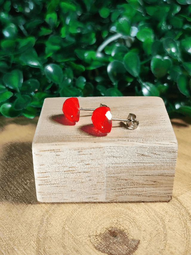 Clous d'oreilles - Clarion