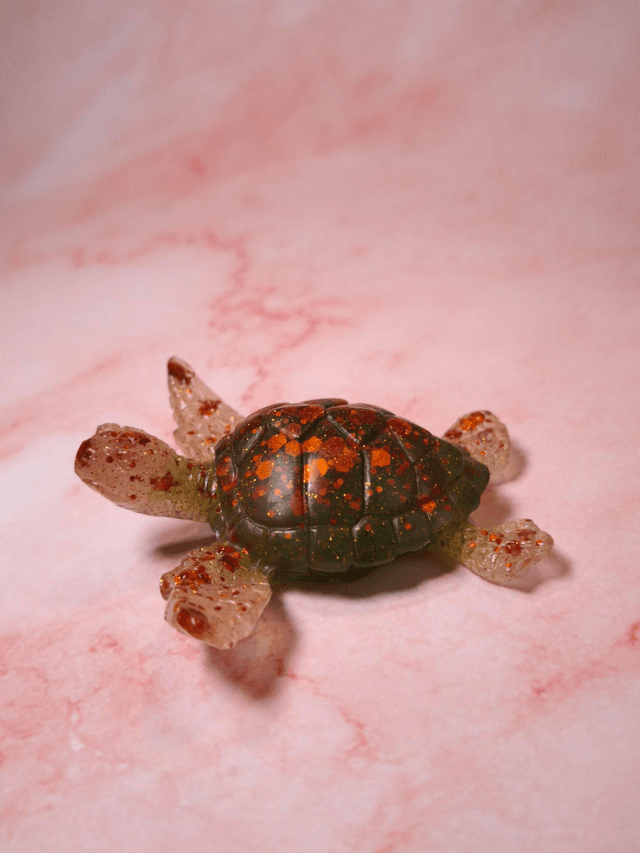 Tortue de mer 