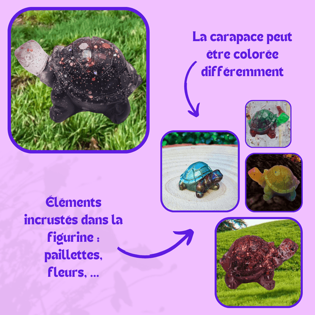 Personnalisation Tortue Terrestre 