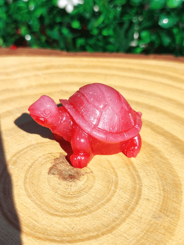 Tortue terrestre  
