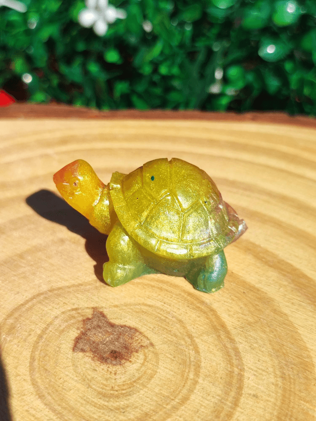 Tortue terrestre
