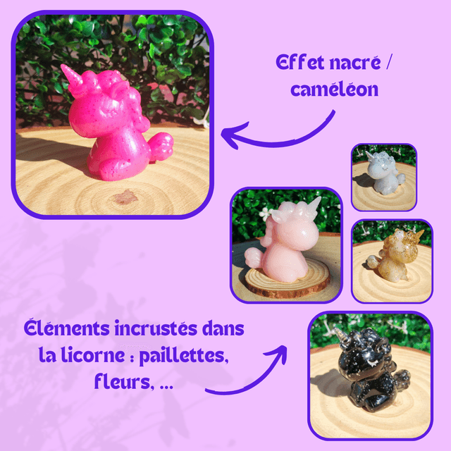 Personnalisation Licorne