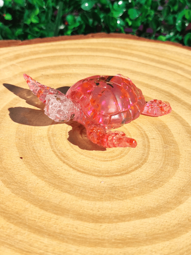 Tortue de mer
