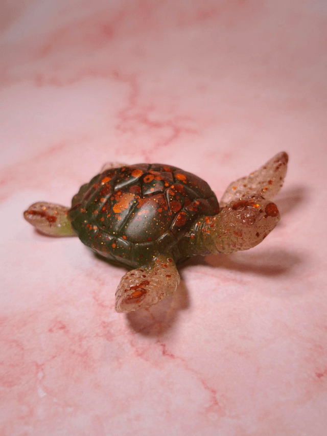Tortue de mer 
