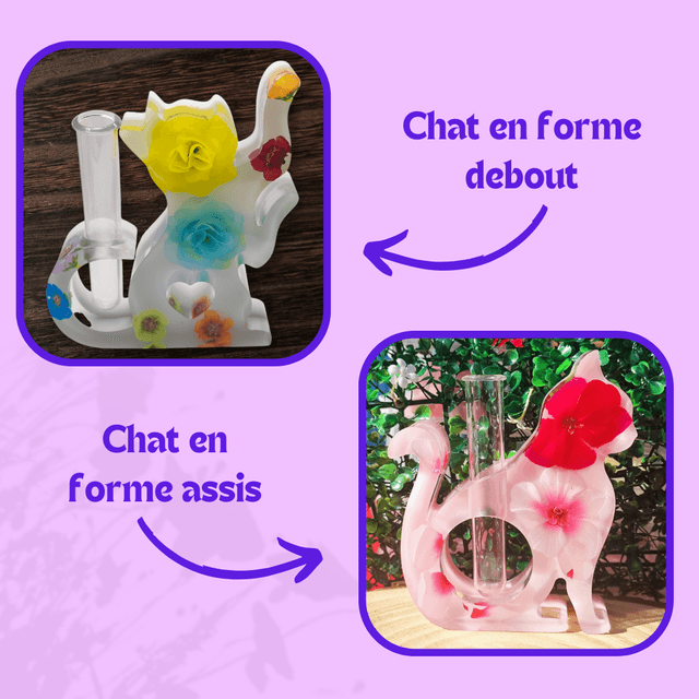 Personnalisation Soliflore Chat