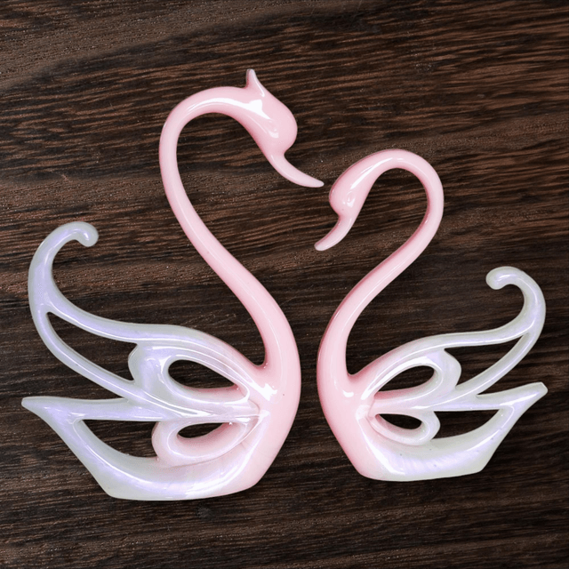 Couple de Cygnes 