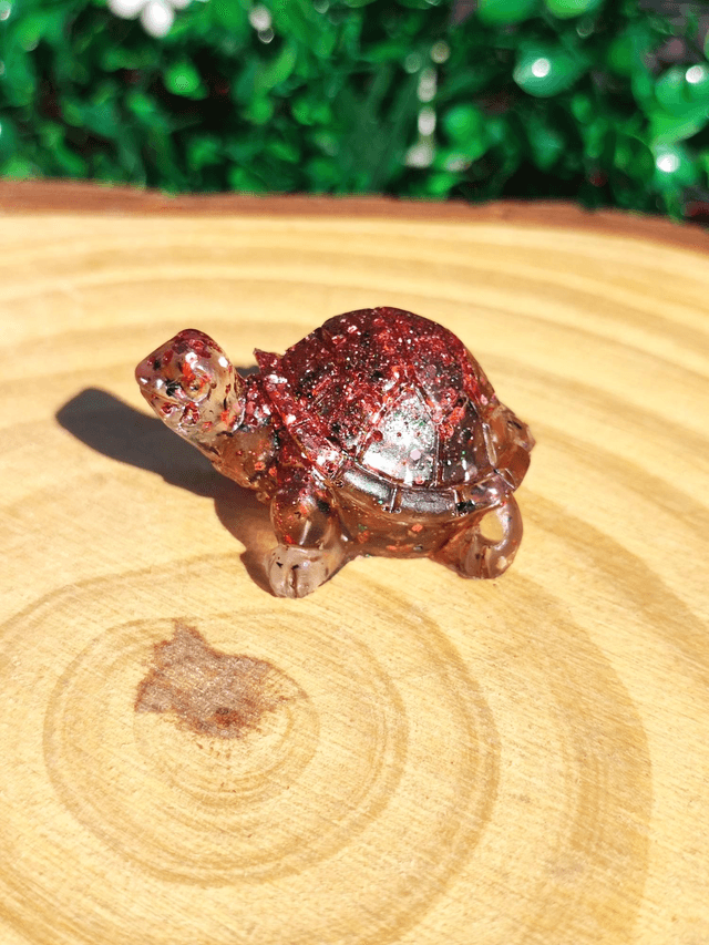 Tortue terrestre  