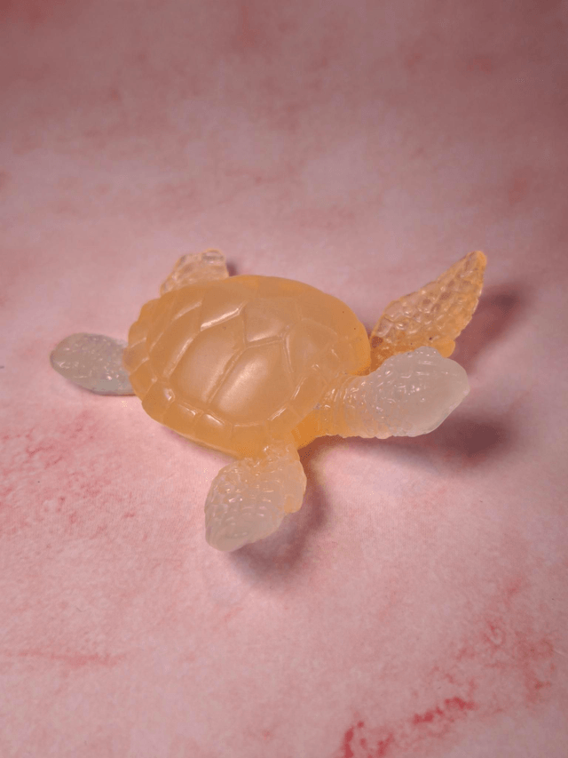 Tortue de mer