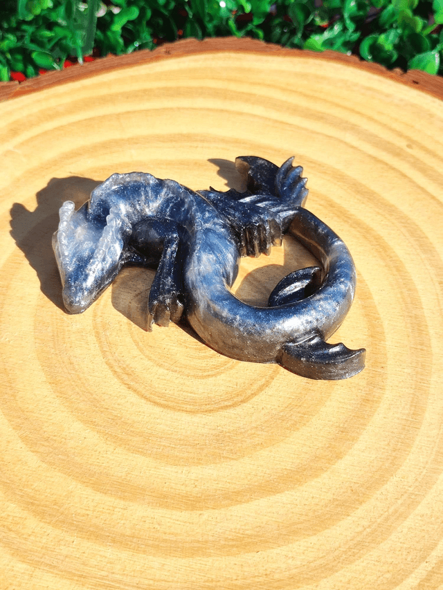 Dragon aquatique