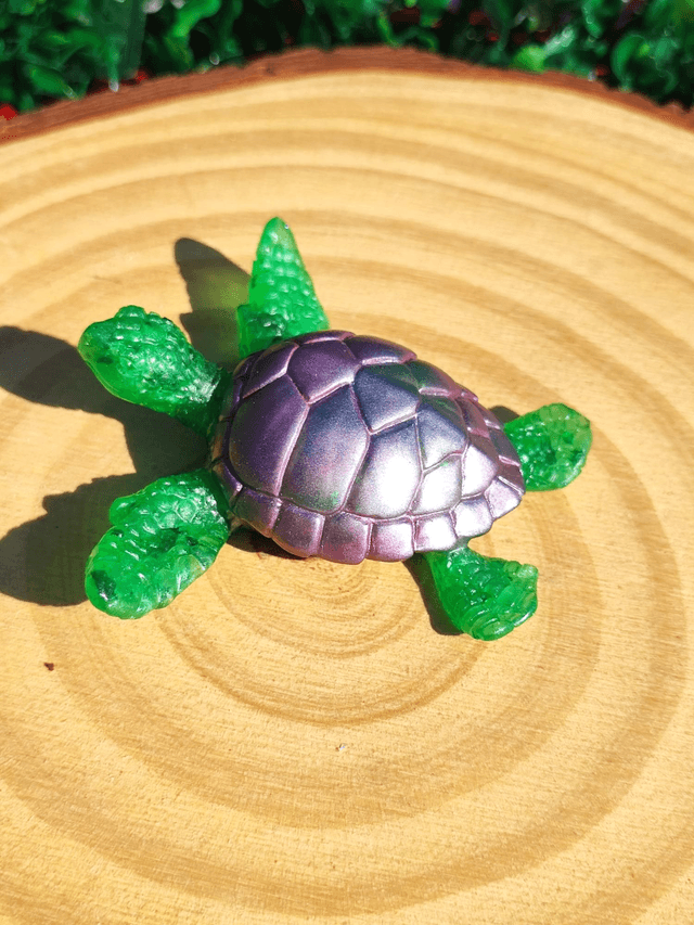 Tortue de mer