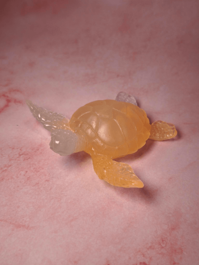 Tortue de mer