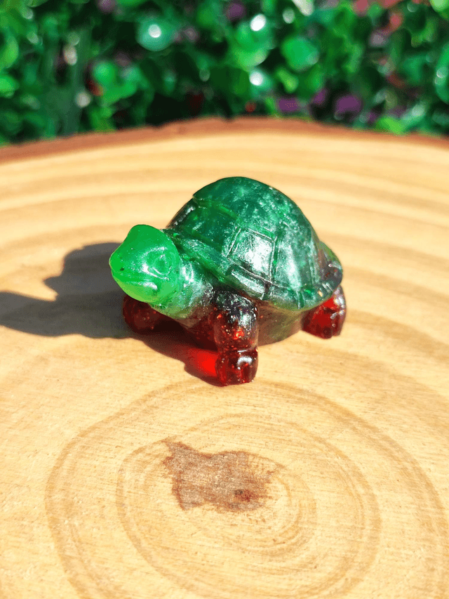 Tortue terrestre  