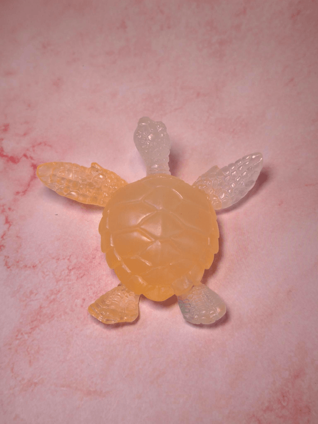 Tortue de mer