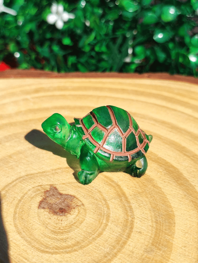 Tortue terrestre 