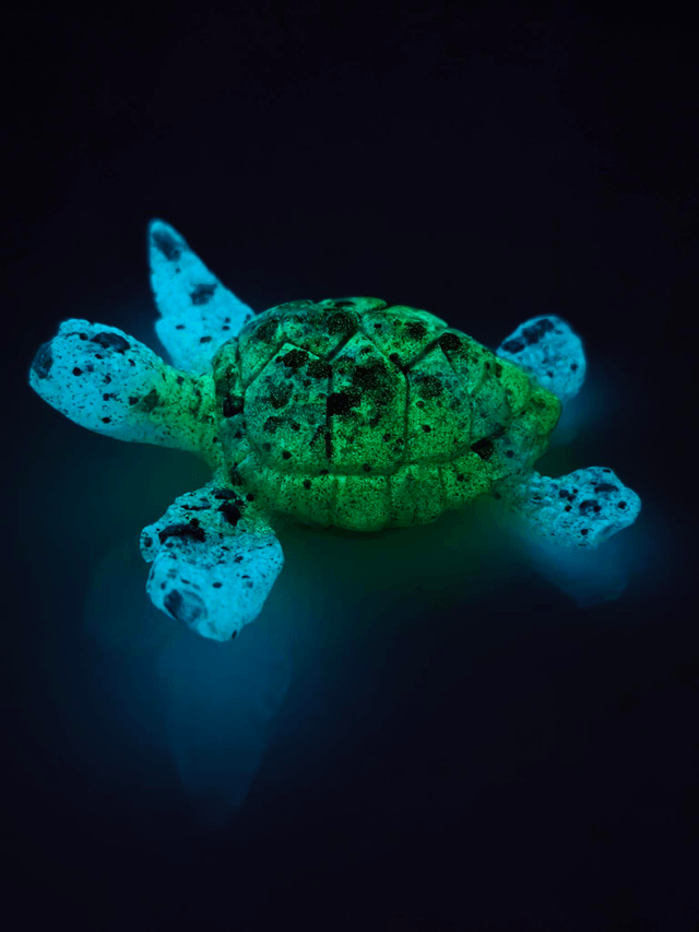 Tortue de mer 