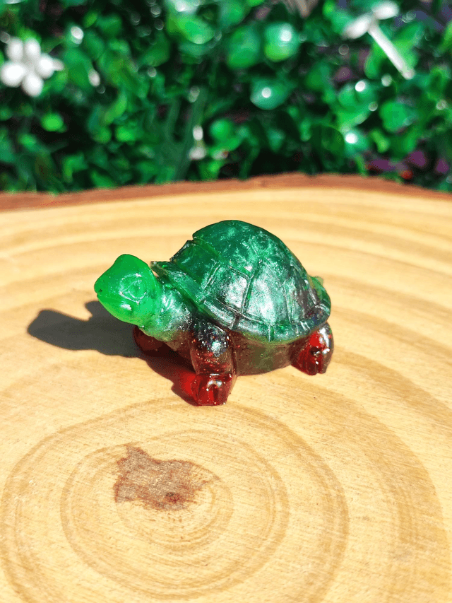 Tortue terrestre  