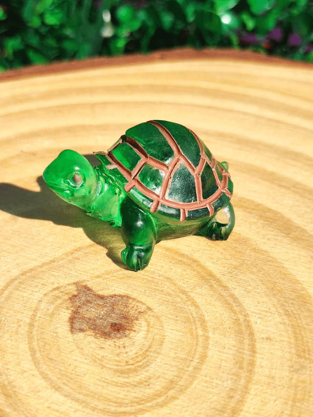 Tortue terrestre 