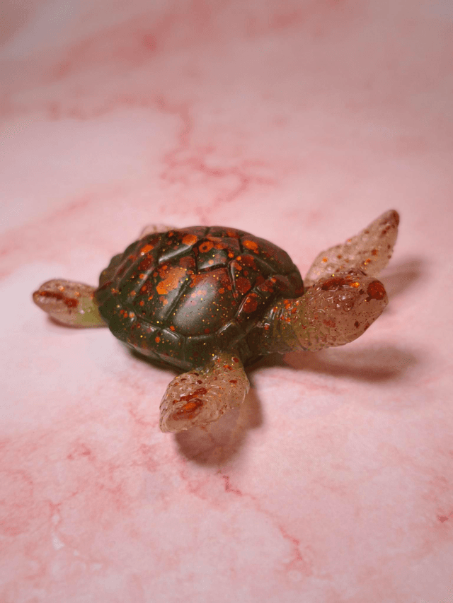 Tortue de mer 