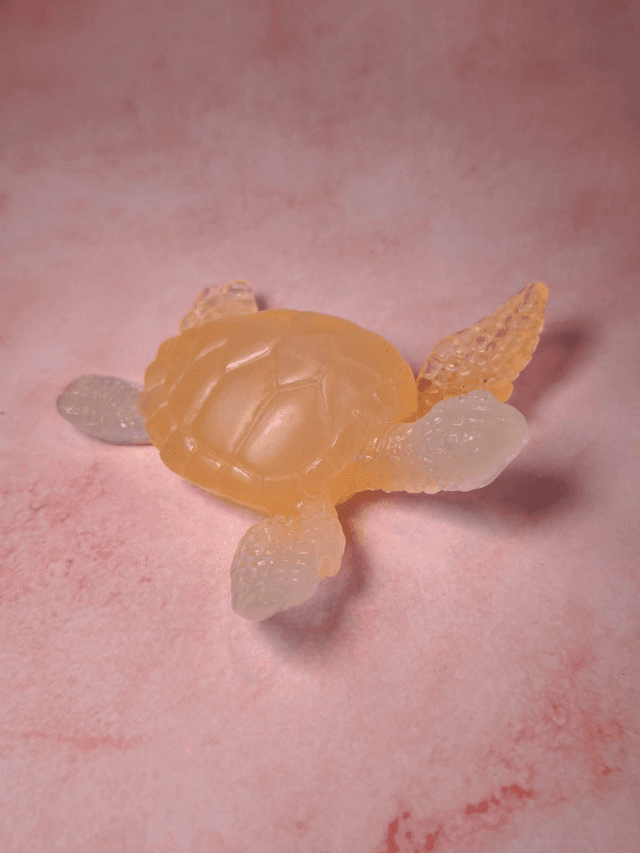 Tortue de mer