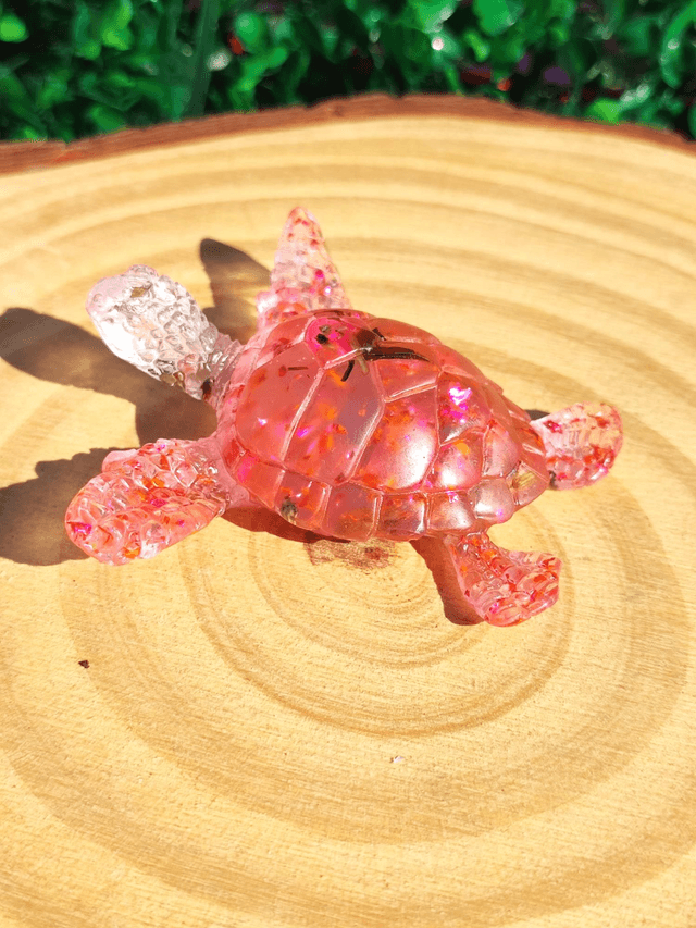 Tortue de mer