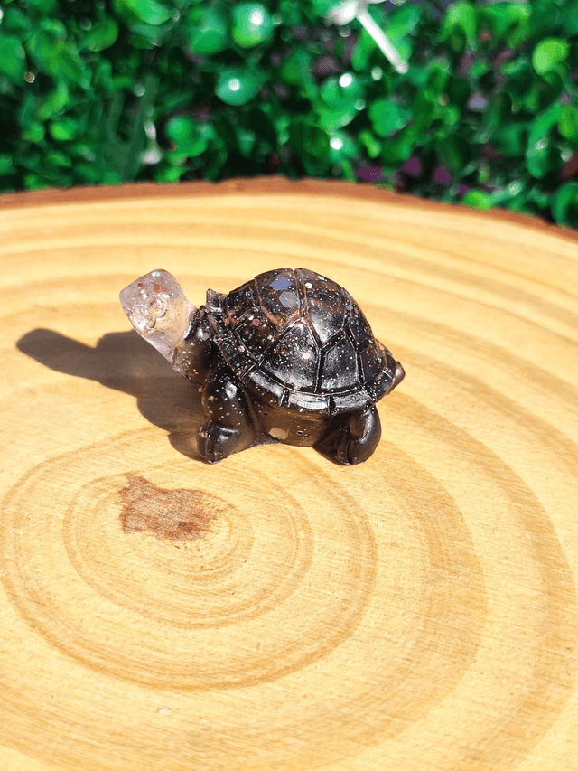 Tortue terrestre